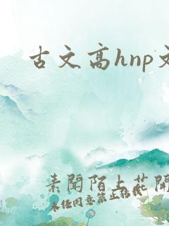 古文高hnp文