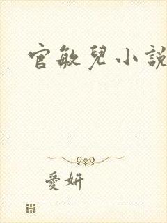 官敏儿小说集