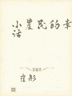 小农民的幸福生活
