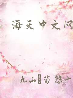 海天中文网
