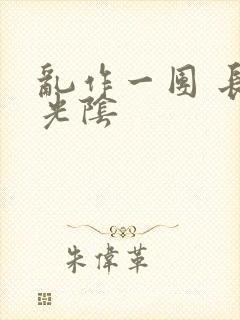 乱作一团 长日光阴