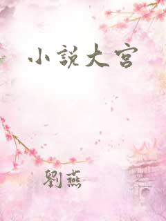小说大宫