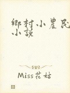 乡村小农民有声小说