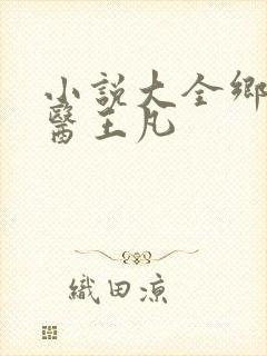 小说大全乡村盲医王凡