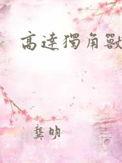 高达独角兽小说