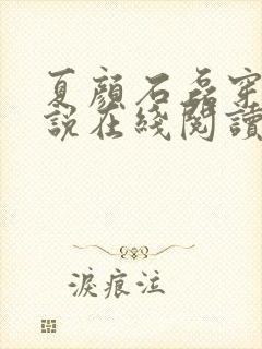 夏颜石磊穿越小说在线阅读