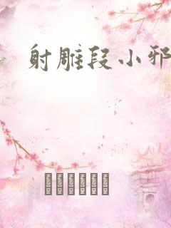 射雕段小邪传