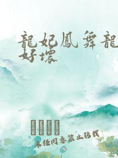 龙妃凤舞龙王你好坏