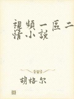 视频一区二区激情小说