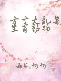 方寸大乱是什么生肖动物