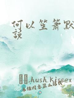 何以笙箫默 小说