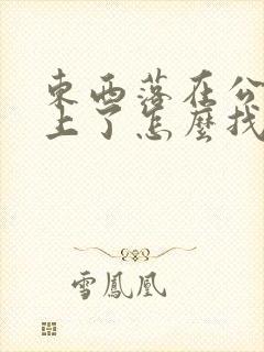 东西落在公交车上了怎么找回