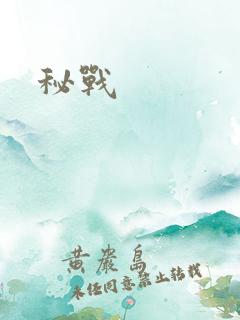 秘战