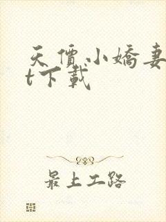 天价小娇妻txt下载