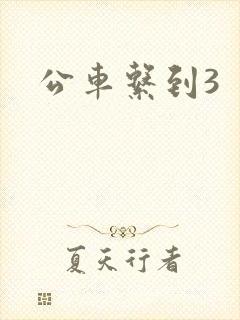 公车系到3