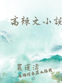 高辣文小说阅读