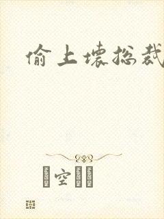 偷上坏总裁