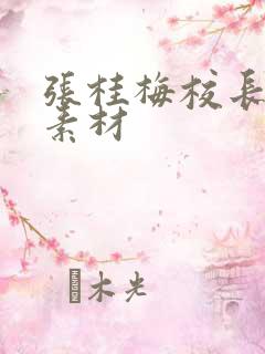 张桂梅校长作文素材