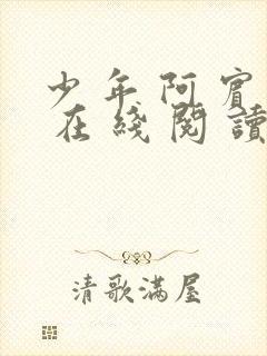 少 年 阿 宾 在 线 阅 读