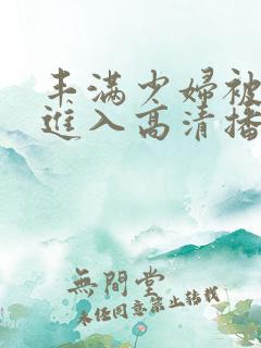 丰满少妇被猛烈进入高清播放小说