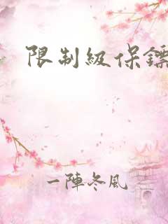 限制级保镖
