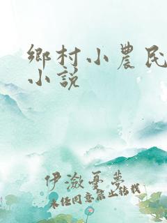 乡村小农民完整小说