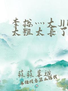 李总灬大JI巴太粗太长了