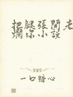把腿张开老子臊烂你小说