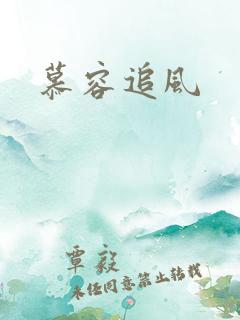 慕容追风