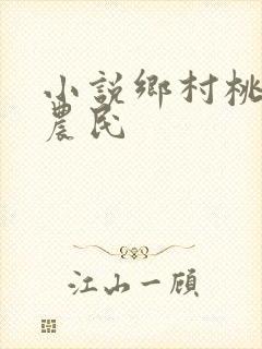 小说乡村桃运小农民