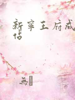 新宁王府成人网站