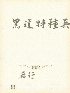 黑道特种兵2