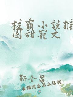 校霸小说推荐校园甜宠文