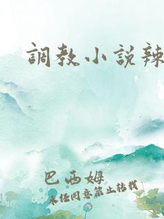 调教小说辣文