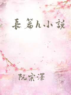 长篇h小说