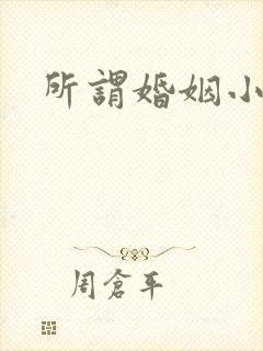 所谓婚姻小说