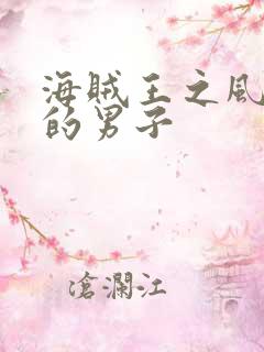 海贼王之风一样的男子
