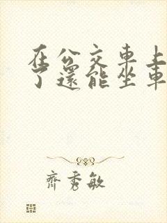 在公交车上高潮了还能坐车吗