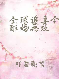 全球追妻令老婆离婚无效