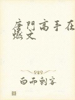唐门高手在异世燃文