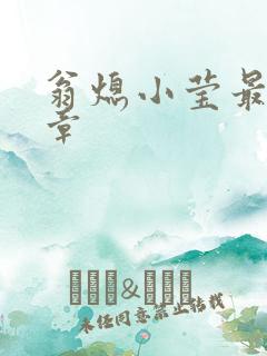 翁熄小莹最新节章