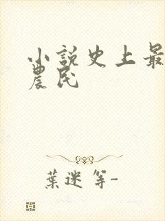 小说史上最强小农民