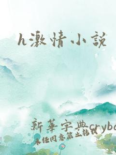 h激情小说