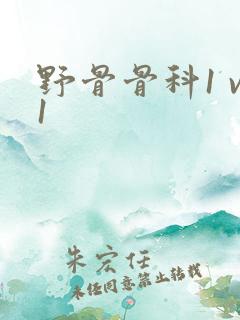 野骨骨科1 v1