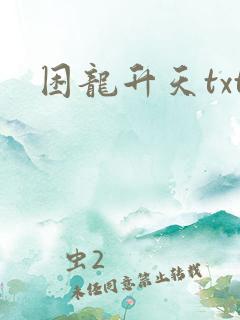 困龙升天txt