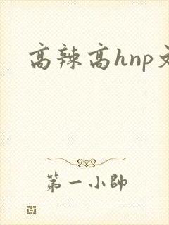 高辣高hnp文
