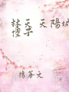 林天 天阳城 傻子