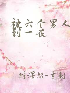 被六个男人躁J到一夜