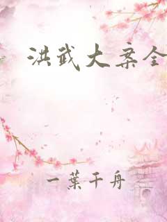 洪武大案全集