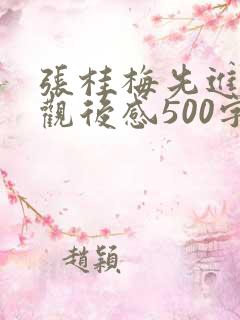 张桂梅先进事迹观后感500字